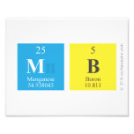 mb  Photo Prints