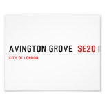Avington Grove   Photo Prints