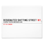 Designated Shitting Street  Photo Prints