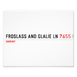 Froslass and glalie ln  Photo Prints