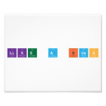 like a boss  Photo Prints