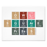 Owl
 Square
 Press  Photo Prints