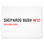 Shepards Bush  Photo Prints