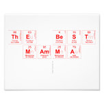 THE BEST 
 MAMMA
   Photo Prints