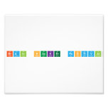 brain hacker festival  Photo Prints