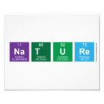 Nature  Photo Prints