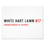 white hart lawn  Photo Prints