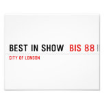 Best In Show   Photo Prints
