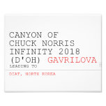 Canyon of chuck norris INFinity 2018 (D'oh)  Photo Prints