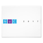 Feliz 2017  Photo Prints