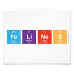 FeLiNeS  Photo Prints
