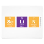 Selin  Photo Prints