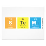 STEM  Photo Prints