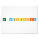 La Resistencia  Photo Prints