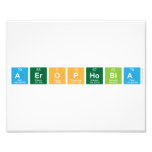 aerophobia  Photo Prints