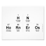 Hn
 Horneros  Photo Prints