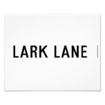 LARK LANE  Photo Prints