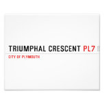 Triumphal Crescent  Photo Prints
