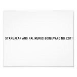 Stanualar and palinurus boulevard no exit   Photo Prints