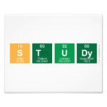 Study  Photo Prints