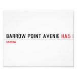 Barrow Point Avenie  Photo Prints