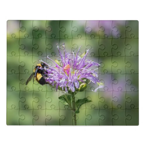 Photo Puzzle Bee on purple flower Macro