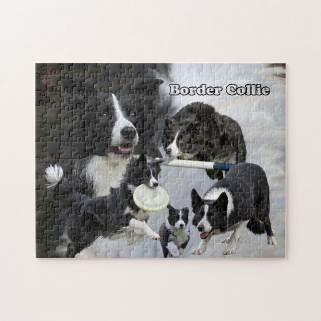 photo puzzle border collie collage (Horizontal)