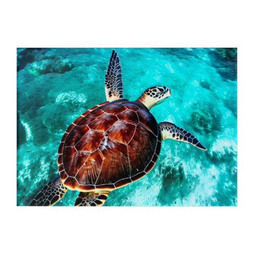 Photo Realistic Sea Turtle In Turquoise Water Acrylic Print