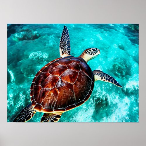 Photo Realistic Sea Turtle In Turquoise Water Poster