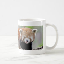 Photo red panda , animals 0399. coffee mug Photo red panda , animals 0399. coffee mug