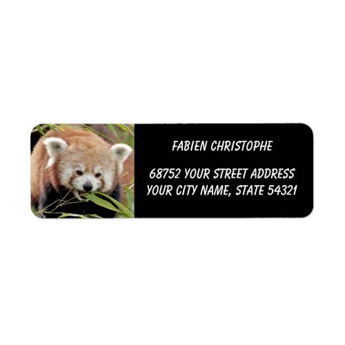 Photo red panda  animals 0530 label