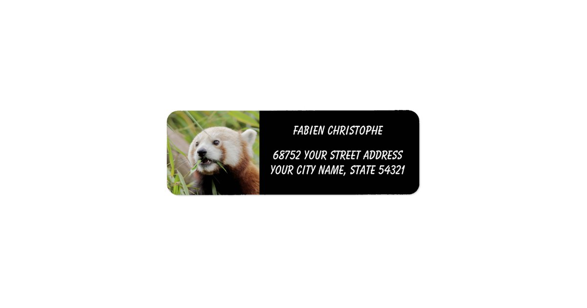 Photo red panda , animals 0531. label | Zazzle