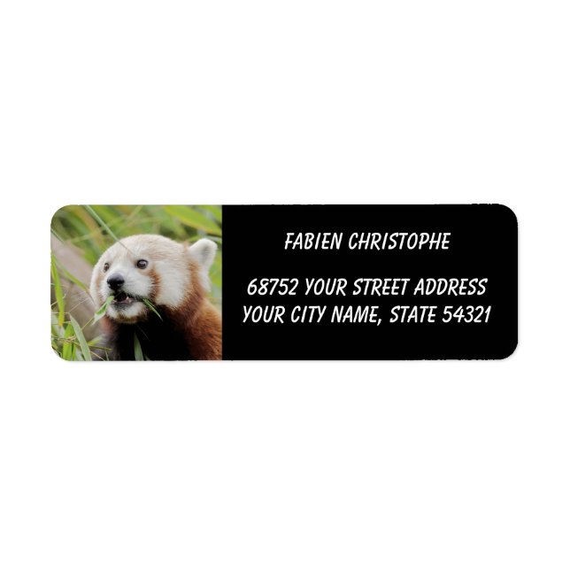 Photo red panda , animals 0531. label (Front)