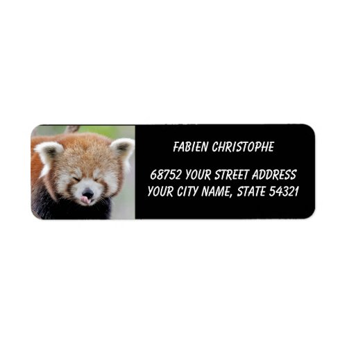 Photo red panda  animals 0532 label