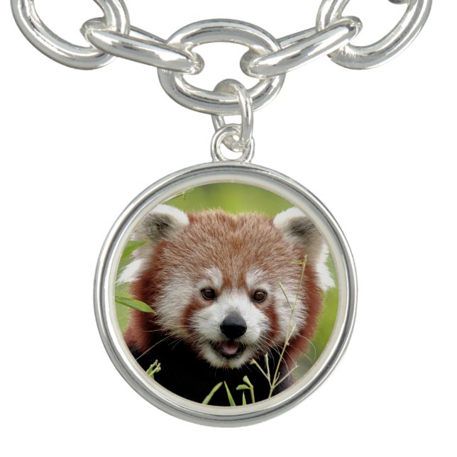 Photo red panda , animals 0613. bracelet (Design)