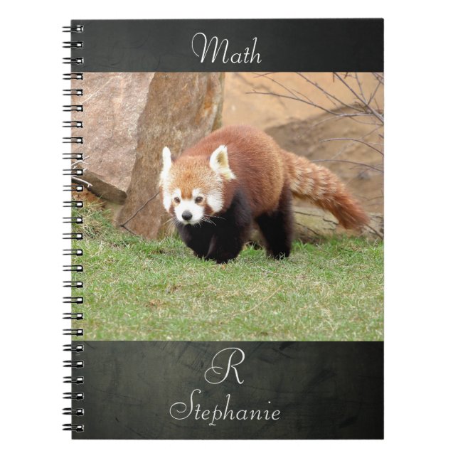 Photo red panda laptop, animals 0436. notebook (Front)