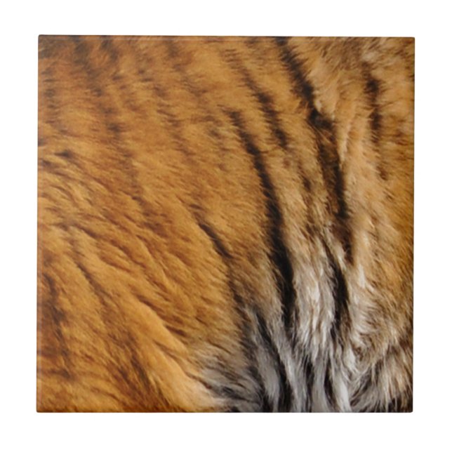 Photo-sampled Tiger Stripes Big Cat Wildlife Ceramic Tile (Front)