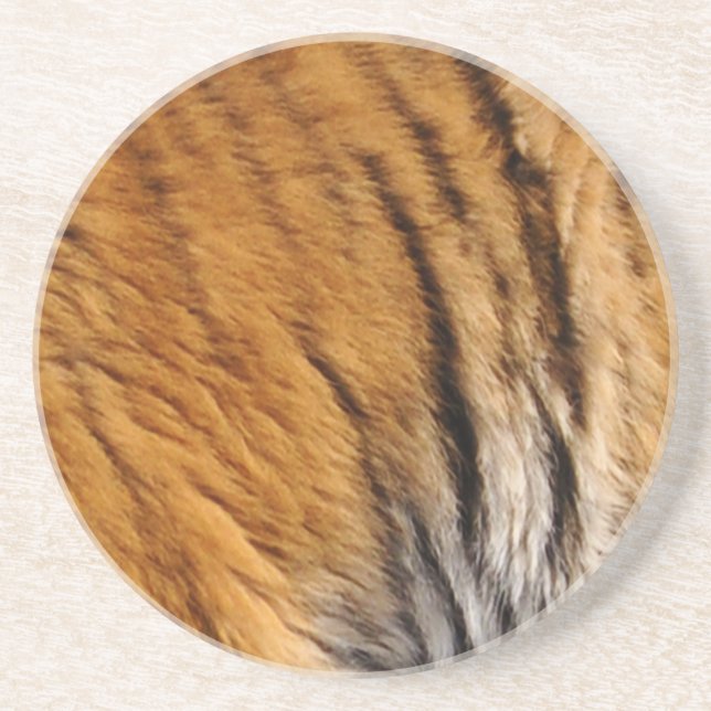 Photo-sampled Tiger Stripes Big Cat Wildlife Coaster (Front)
