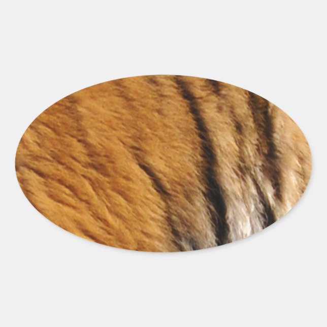 Photo-sampled Tiger Stripes Big Cat Wildlife Oval Sticker (Front)