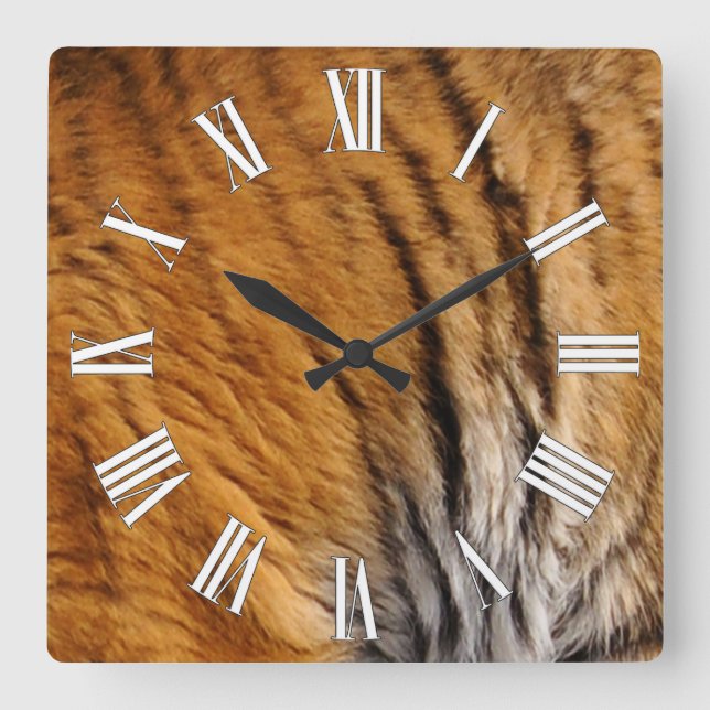 Photo-sampled Tiger Stripes Big Cat Wildlife Square Wall Clock (Front)