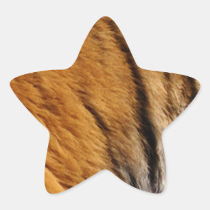 Photo-sampled Tiger Stripes Big Cat Wildlife Star Sticker