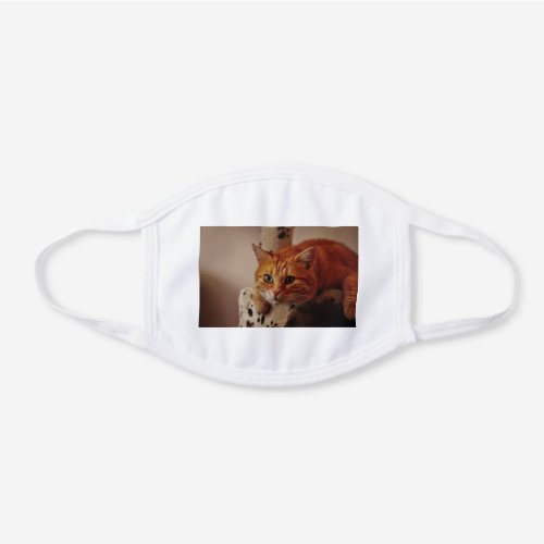 Photo Template Family Pet Cat Dog Custom White Cotton Face Mask