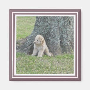 Photo Template Modern Cute Family Simple Purple Magnet