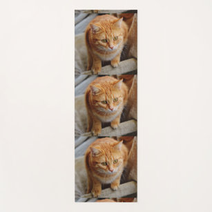 Photo Template Tiled Family Pet Cat Dog Yoga Mat