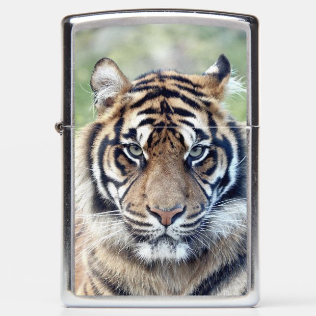 Photo tiger , animals 0367. zippo lighter (Front)