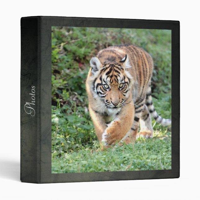 Photo tiger , animals. 3 ring binder (Front/Spine)