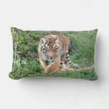 Photo tiger cat , animals . throw pillow