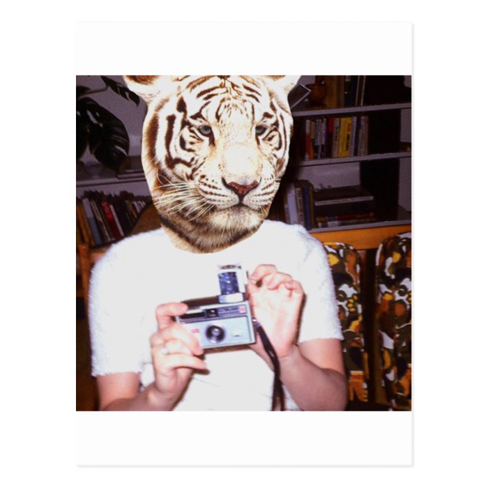 Photo tiger postcards