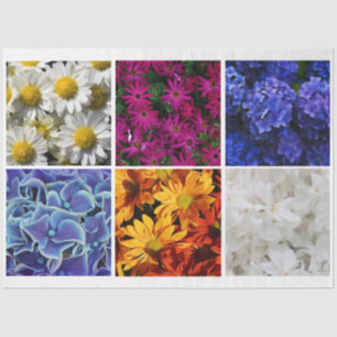 Photo Tissue Paper HAMbyWG