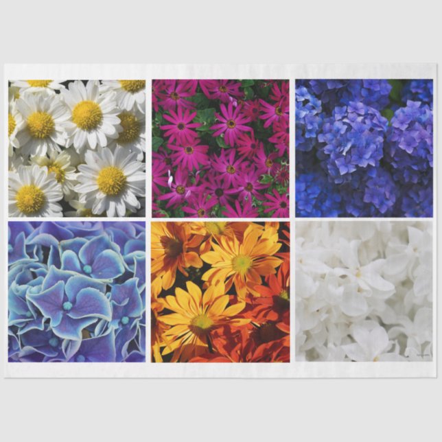 Photo Tissue Paper HAMbyWG (Front)